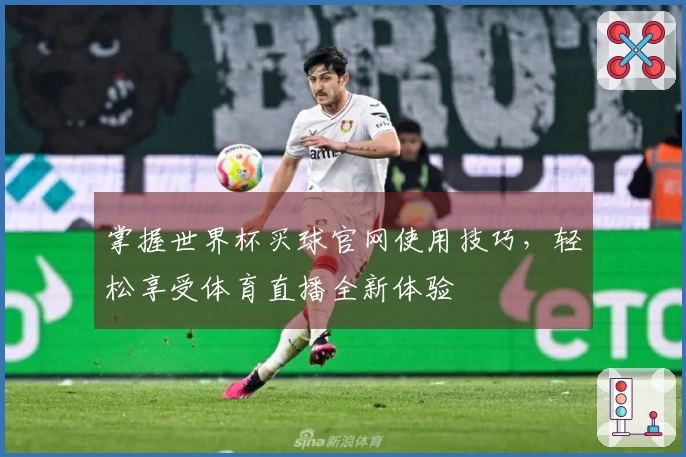 掌握世界杯买球官网使用技巧，轻松享受体育直播全新体验