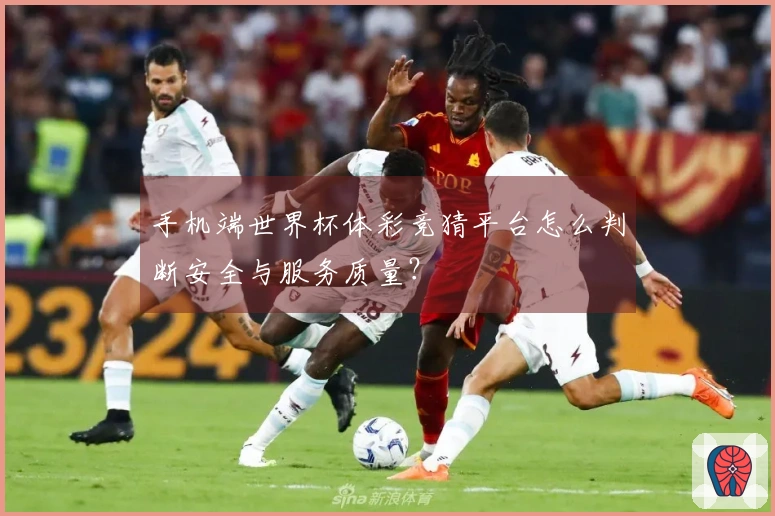 手机端世界杯体彩竞猜平台怎么判断安全与服务质量？