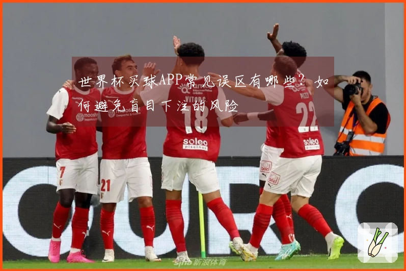世界杯买球APP常见误区有哪些？如何避免盲目下注的风险