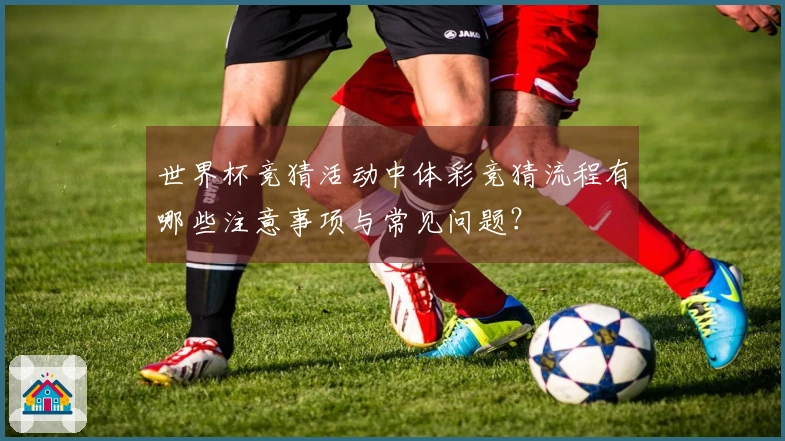 世界杯竞猜活动中体彩竞猜流程有哪些注意事项与常见问题？