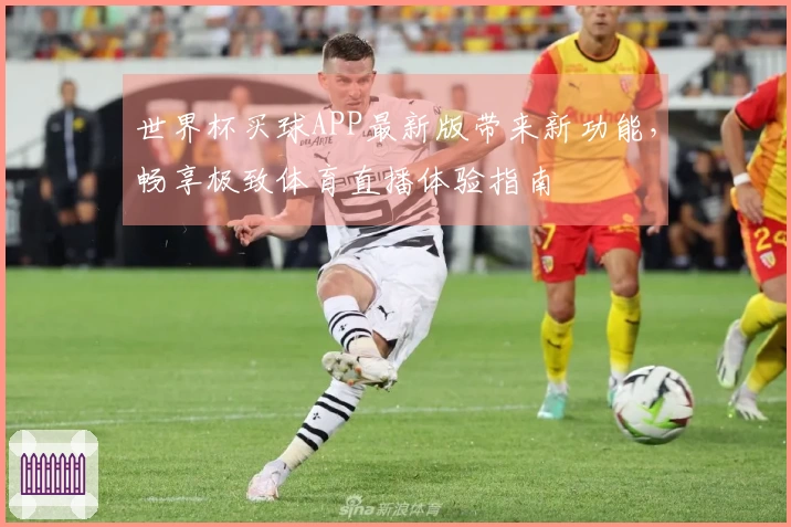 世界杯买球APP最新版带来新功能，畅享极致体育直播体验指南