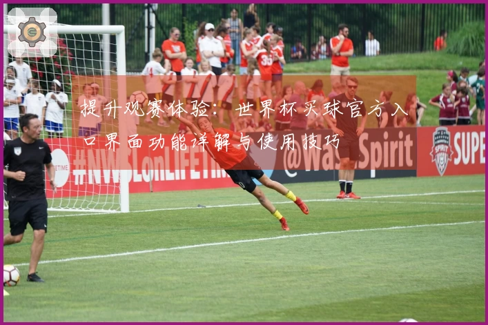 提升观赛体验：世界杯买球官方入口界面功能详解与使用技巧