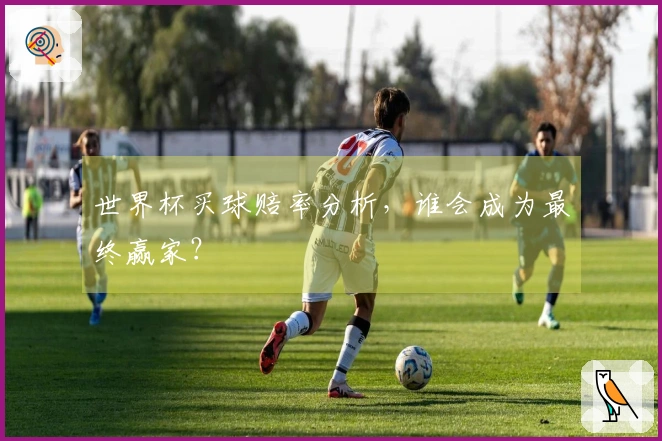 世界杯买球赔率分析，谁会成为最终赢家？