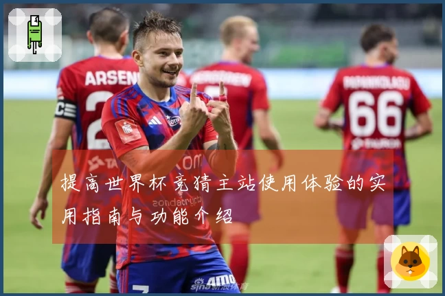 提高世界杯竞猜主站使用体验的实用指南与功能介绍