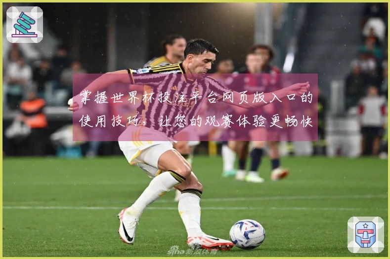 掌握世界杯投注平台网页版入口的使用技巧，让您的观赛体验更畅快