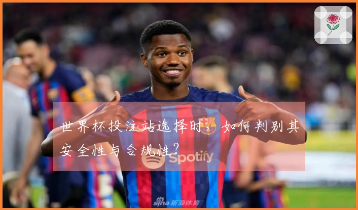 世界杯投注站选择时，如何判别其安全性与合规性？