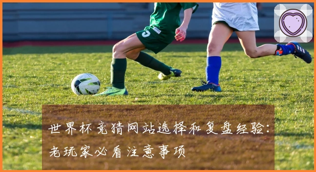 世界杯竞猜网站选择和复盘经验：老玩家必看注意事项