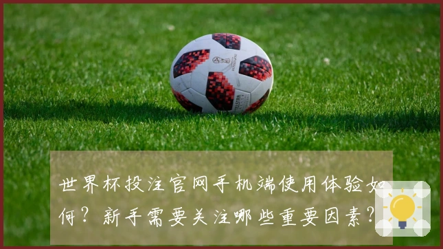 世界杯投注官网手机端使用体验如何？新手需要关注哪些重要因素？