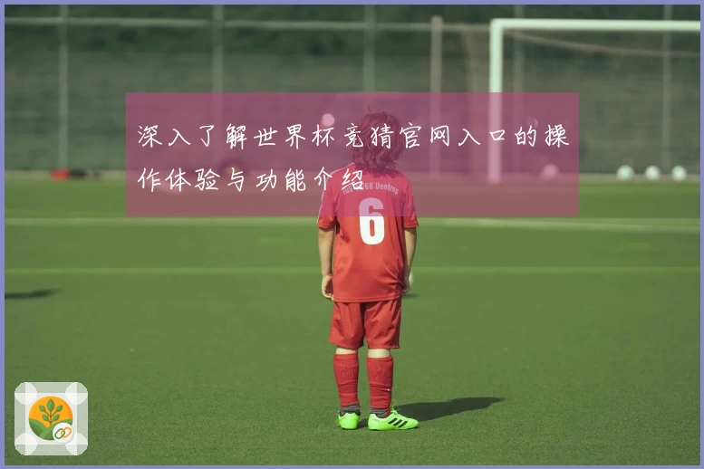 深入了解世界杯竞猜官网入口的操作体验与功能介绍