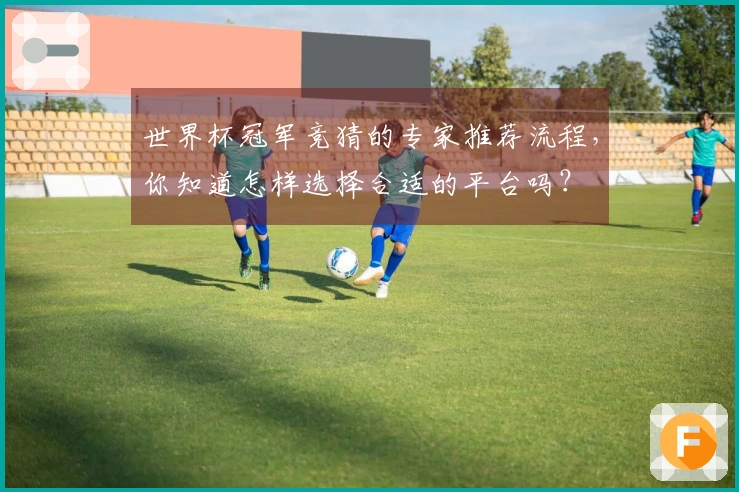 世界杯冠军竞猜的专家推荐流程，你知道怎样选择合适的平台吗？