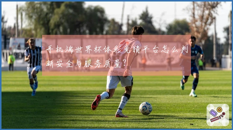 手机端世界杯体彩竞猜平台怎么判断安全与服务质量？