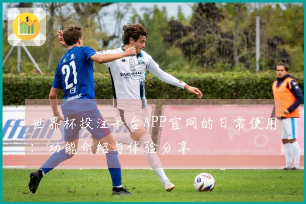 世界杯投注平台APP官网的日常使用：功能介绍与体验分享