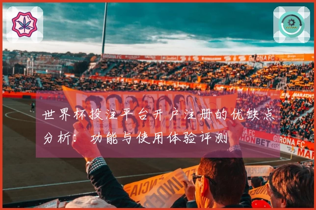 世界杯投注平台开户注册的优缺点分析：功能与使用体验评测