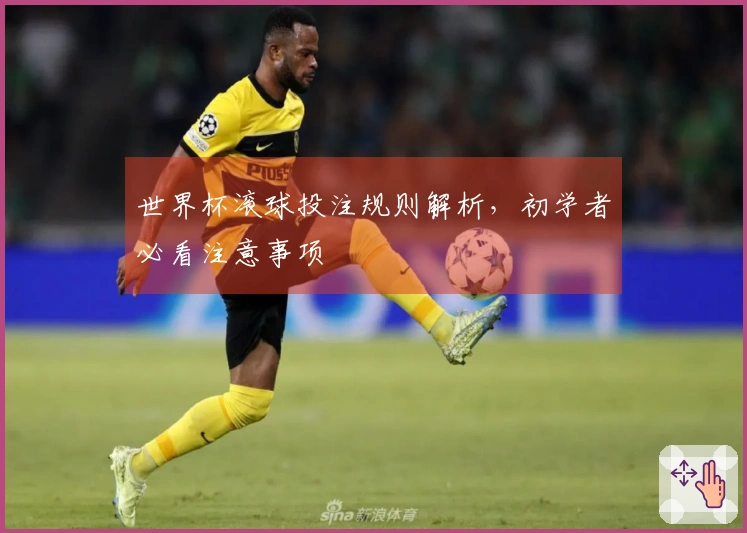 世界杯滚球投注规则解析，初学者必看注意事项