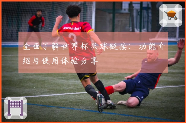 全面了解世界杯买球链接：功能介绍与使用体验分享