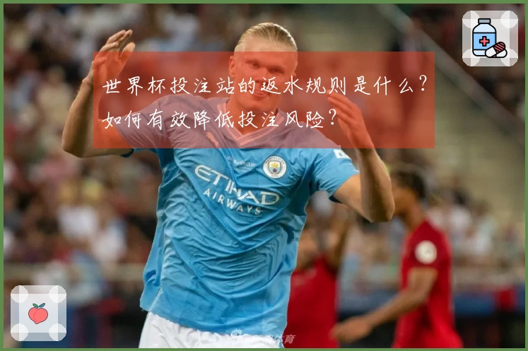 世界杯投注站的返水规则是什么？如何有效降低投注风险？