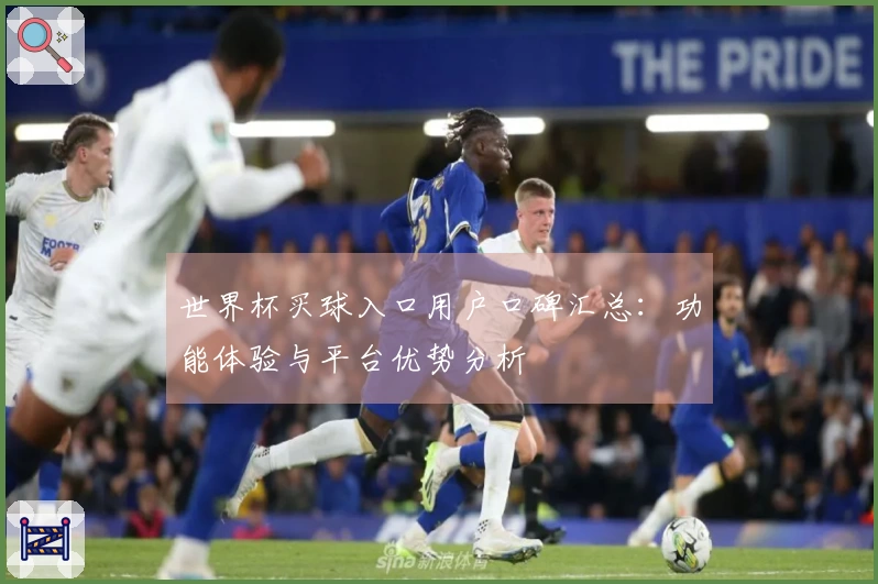 世界杯买球入口用户口碑汇总：功能体验与平台优势分析