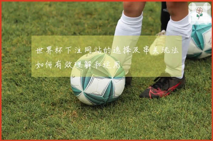 世界杯下注网站的选择及串关玩法如何有效理解和运用