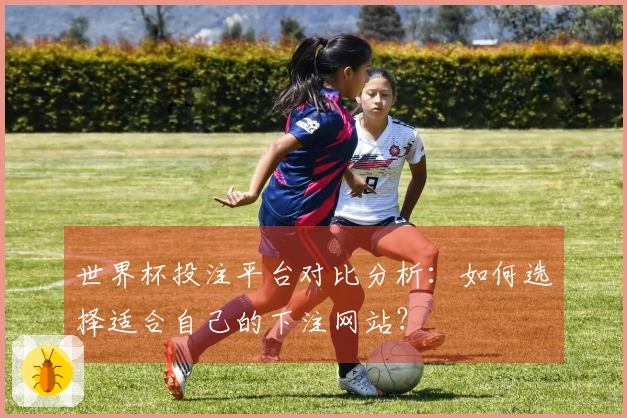 世界杯投注平台对比分析：如何选择适合自己的下注网站？