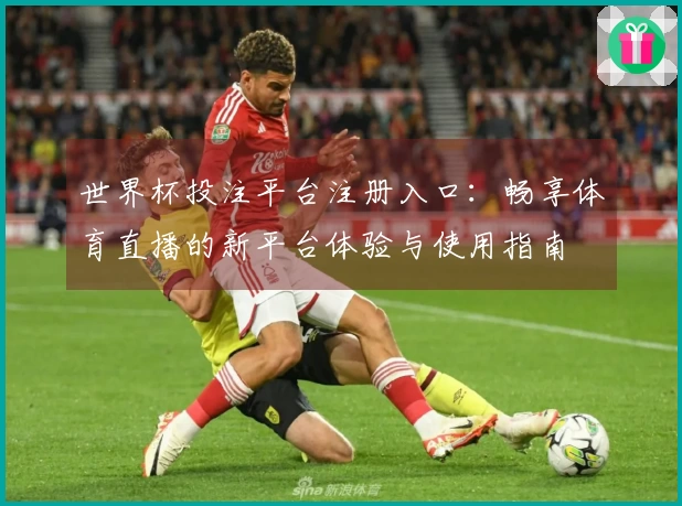 世界杯投注平台注册入口：畅享体育直播的新平台体验与使用指南