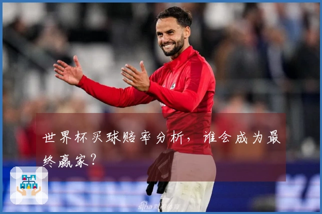 世界杯买球赔率分析，谁会成为最终赢家？