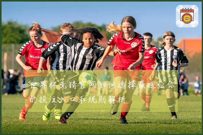 世界杯竞猜官网如何选择最适合你的投注入口和规则解析