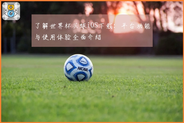 了解世界杯买球iOS下载：平台功能与使用体验全面介绍